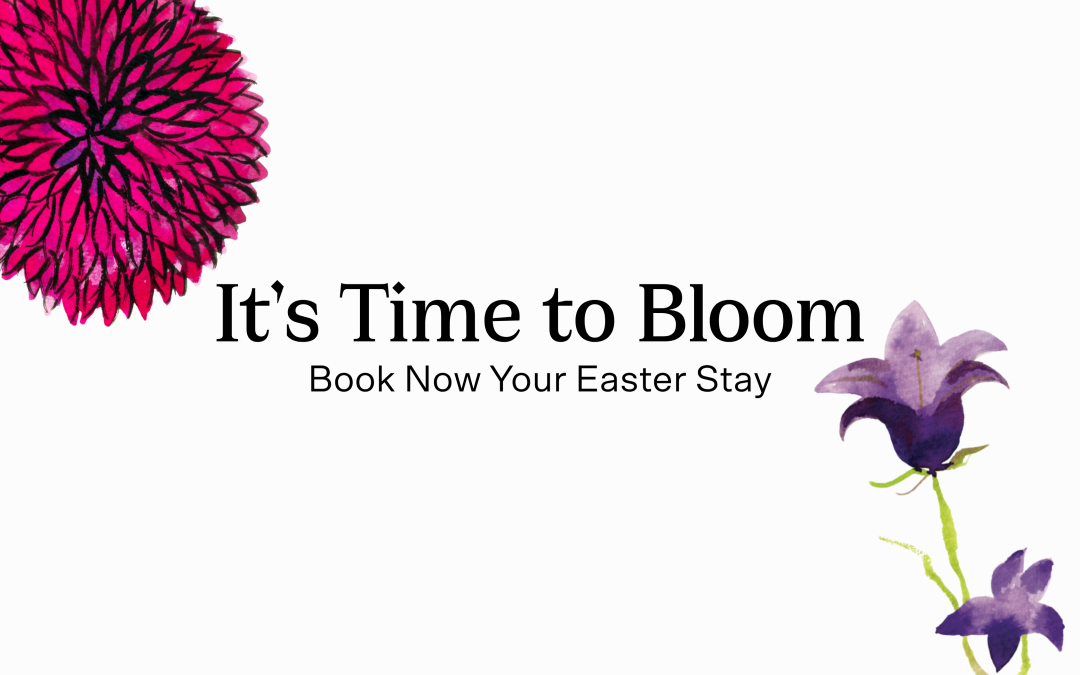 It’s Time To Bloom