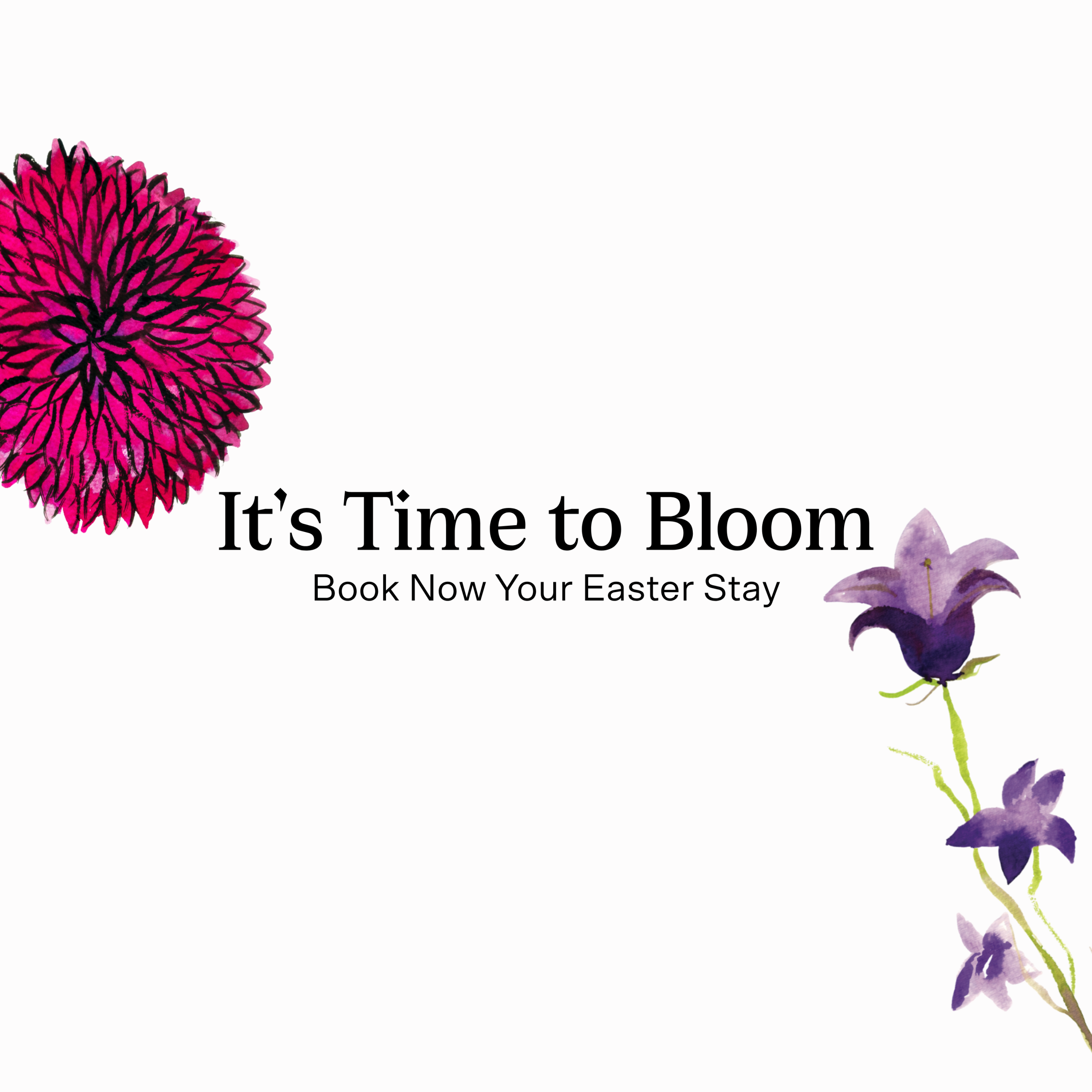 It’s Time To Bloom